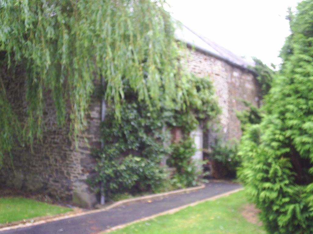 Chambres D'Hote Honey Orchard Farm Vessey Exterior photo