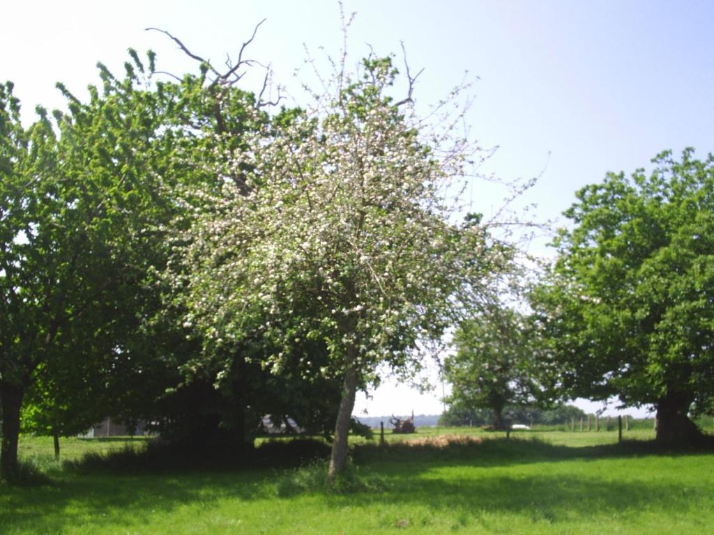 Chambres D'Hote Honey Orchard Farm Vessey Exterior photo