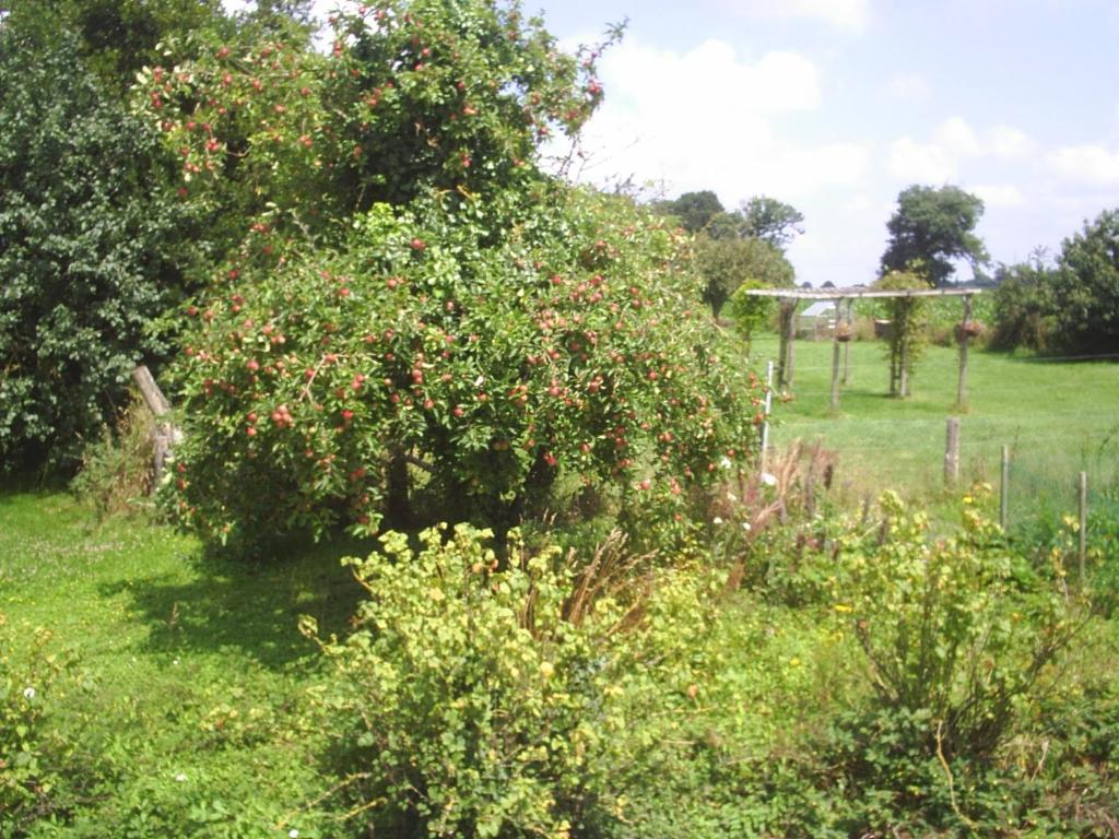 Chambres D'Hote Honey Orchard Farm Vessey Exterior photo